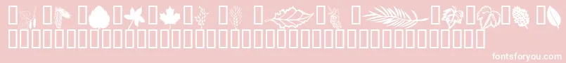 Wmleaves1 Font – White Fonts on Pink Background