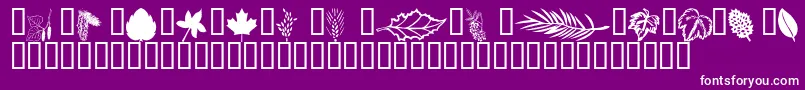 Wmleaves1 Font – White Fonts on Purple Background