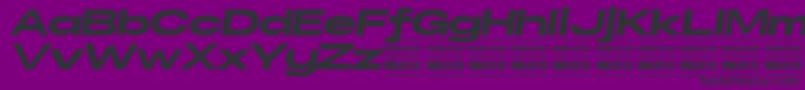 SpecifypersonalExexpblackitali-Schriftart – Schwarze Schriften auf violettem Hintergrund