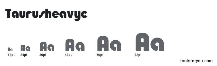 Taurusheavyc Font Sizes