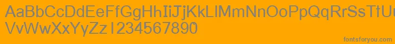 Vietnamese Font – Gray Fonts on Orange Background