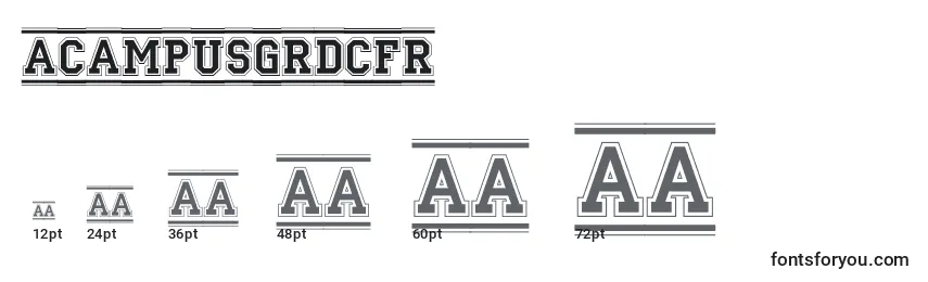 ACampusgrdcfr Font Sizes