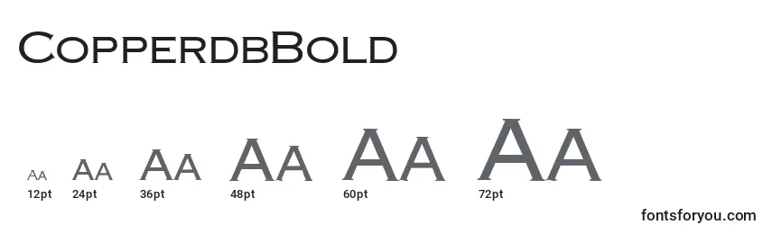 Размеры шрифта CopperdbBold