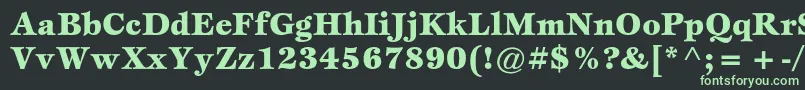 フォントEspritstdBlack – 黒い背景に緑の文字
