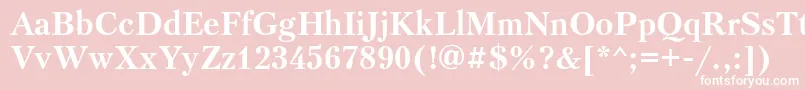 PetersburgtttBold Font – White Fonts on Pink Background
