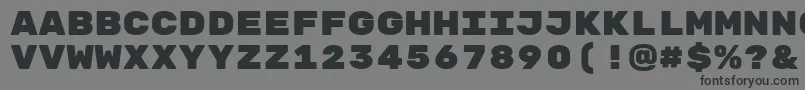 Police RubikmonooneRegular – polices noires sur fond gris