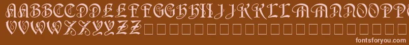 HorstcapsMedium Font – Pink Fonts on Brown Background