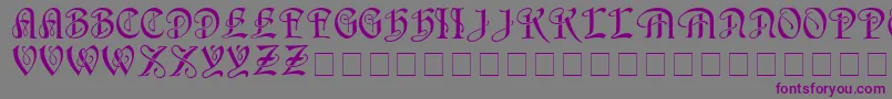 HorstcapsMedium Font – Purple Fonts on Gray Background