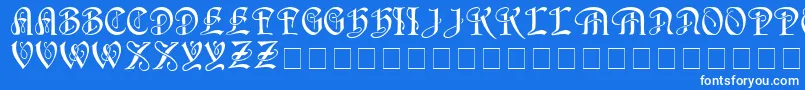 HorstcapsMedium Font – White Fonts on Blue Background