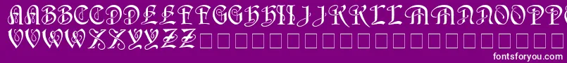 HorstcapsMedium-fontti – valkoiset fontit violetilla taustalla