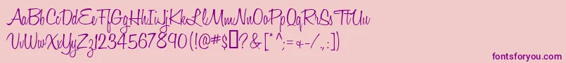 Honeyscript Font – Purple Fonts on Pink Background