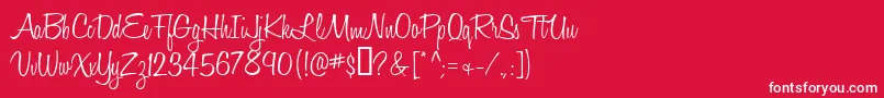 Honeyscript Font – White Fonts on Red Background