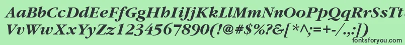 ItcGaramondLtBoldItalic Font – Black Fonts on Green Background