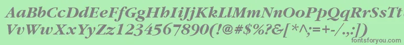 ItcGaramondLtBoldItalic Font – Gray Fonts on Green Background