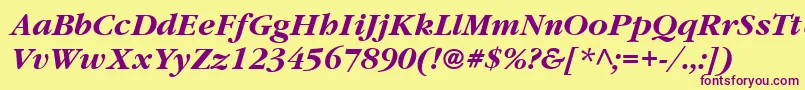 ItcGaramondLtBoldItalic Font – Purple Fonts on Yellow Background