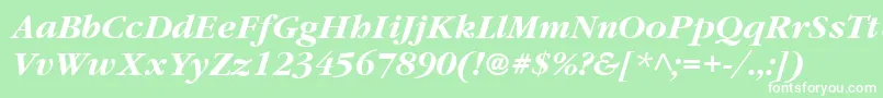 ItcGaramondLtBoldItalic Font – White Fonts on Green Background