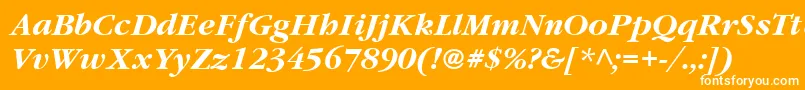 フォントItcGaramondLtBoldItalic – オレンジの背景に白い文字