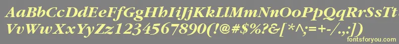 ItcGaramondLtBoldItalic Font – Yellow Fonts on Gray Background