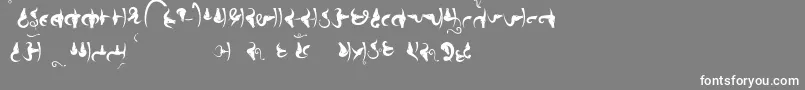 フォントBhains – 灰色の背景に白い文字