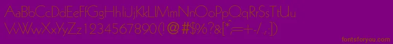 K791GeometricalLightRegular Font – Brown Fonts on Purple Background