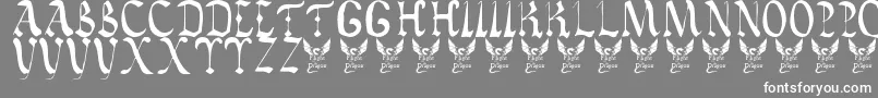 VaticanRoughLetters8thC-Schriftart – Weiße Schriften auf grauem Hintergrund