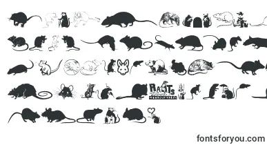 Rats font – Fonts Animals