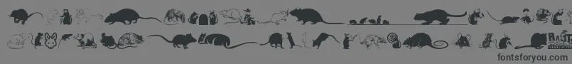 Rats-Schriftart – Schwarze Schriften auf grauem Hintergrund