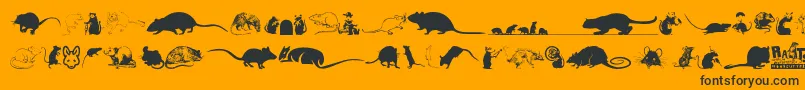 Fonte Rats – fontes pretas em um fundo laranja