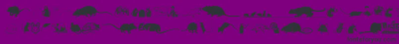 Rats Font – Black Fonts on Purple Background