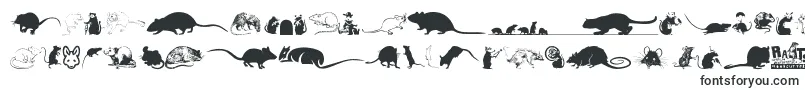 Czcionka Rats – czcionki Zwierzęta