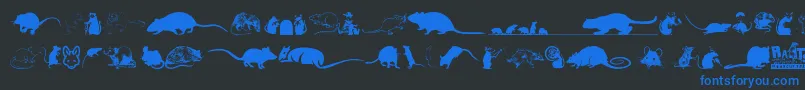 Rats-Schriftart – Blaue Schriften auf schwarzem Hintergrund