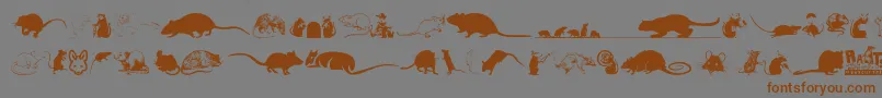 Rats Font – Brown Fonts on Gray Background