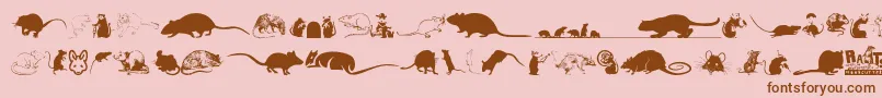 Rats-Schriftart – Braune Schriften auf rosa Hintergrund