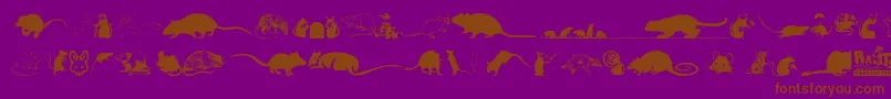 Rats-Schriftart – Braune Schriften auf violettem Hintergrund