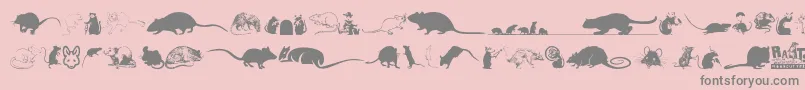 フォントRats – ピンクの背景に灰色の文字