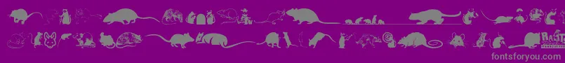 Rats Font – Gray Fonts on Purple Background