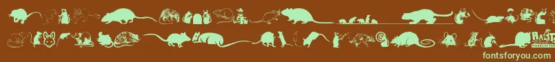 Rats Font – Green Fonts on Brown Background