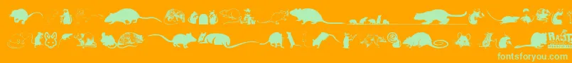 Rats-Schriftart – Grüne Schriften auf orangefarbenem Hintergrund