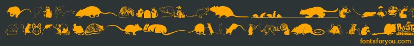 Rats Font – Orange Fonts on Black Background