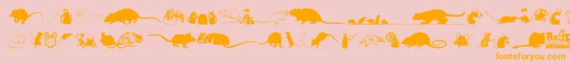 フォントRats – オレンジの文字がピンクの背景にあります。