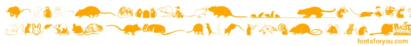 Rats-fontti – oranssit fontit valkoisella taustalla