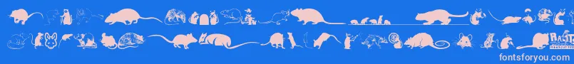 Rats-Schriftart – Rosa Schriften auf blauem Hintergrund