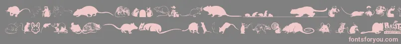 Rats Font – Pink Fonts on Gray Background