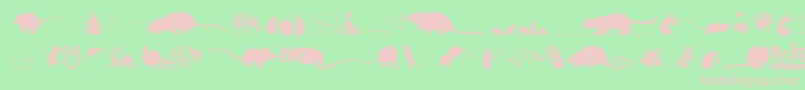 Rats Font – Pink Fonts on Green Background