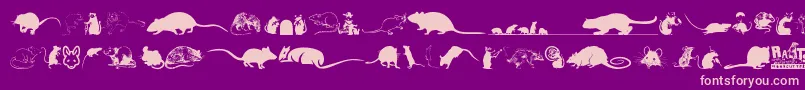 Rats Font – Pink Fonts on Purple Background