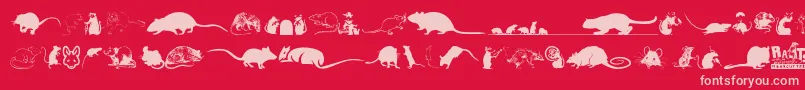 Rats Font – Pink Fonts on Red Background