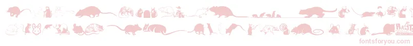 Rats-Schriftart – Rosa Schriften auf weißem Hintergrund