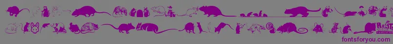 Rats Font – Purple Fonts on Gray Background