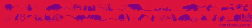 Rats-Schriftart – Violette Schriften auf rotem Hintergrund