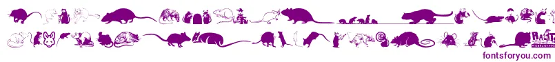 Rats-Schriftart – Violette Schriften auf weißem Hintergrund